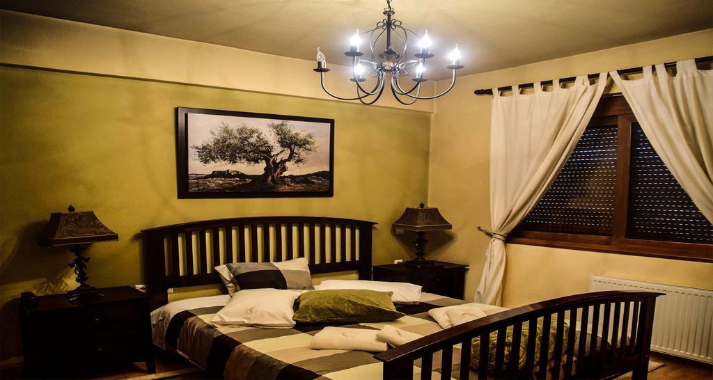 Synikia Mesi Trikalon Aetoma Suites מראה חיצוני תמונה